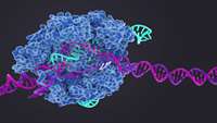 پیشگامان CRISPR سیستم های جدید ویرایش ژنوم را با استفاده از تجزیه و تحلیل ژنوم های ویروسی پیدا می کنند