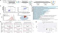 شناسایی یک صفحه نمایش حذفی CRISPR-Cas9 ژنوم ضروری و محدودکننده رشد در سلول‌های بنیادی تروفوبلاست انسانی 