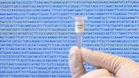 استفاده از بیوانفورماتیک در مطالعه DNA