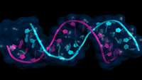 نسل جدید واکسن ها با تولید واکسن های RNA